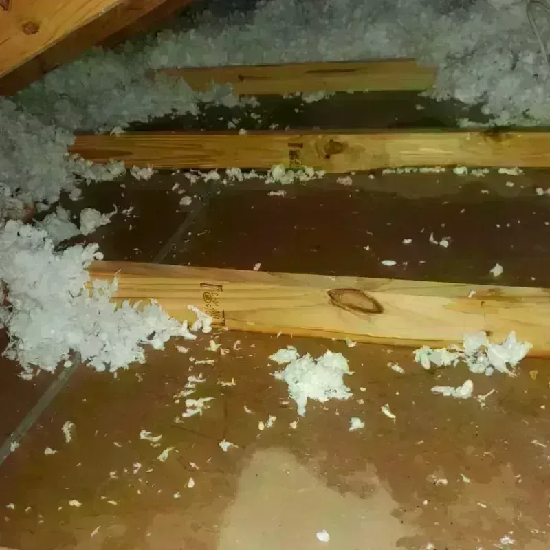 Attic Water Damage in Winona, MO