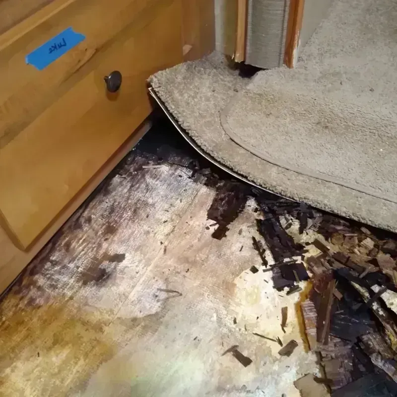 Wood Floor Water Damage in Winona, MO